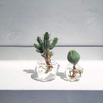 天博体育官方平台入口app下载